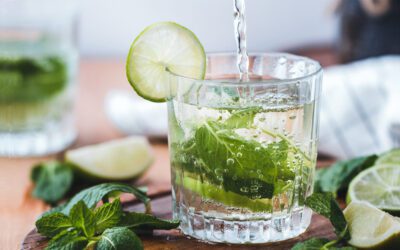 Mint Mojito – Plus Some Fun Rum Facts for You!