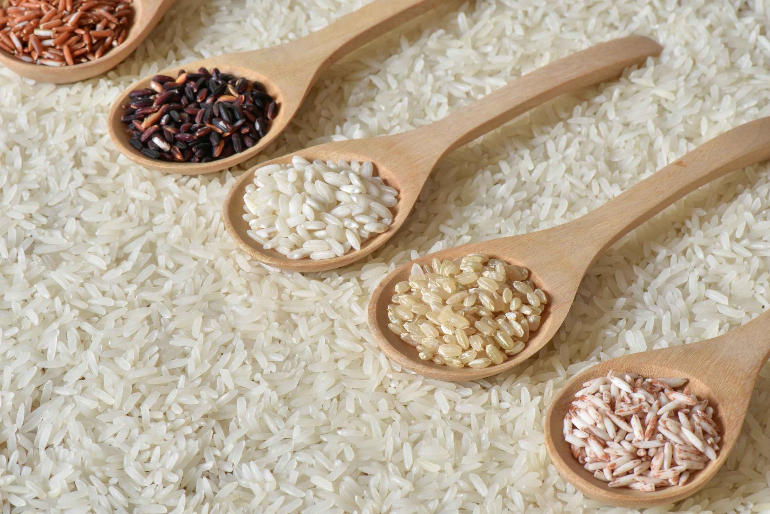 All About Rice Types and Tastes